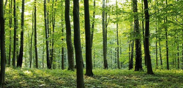 Roncesvalles-Orreaga Roncesvalles-Orreaga